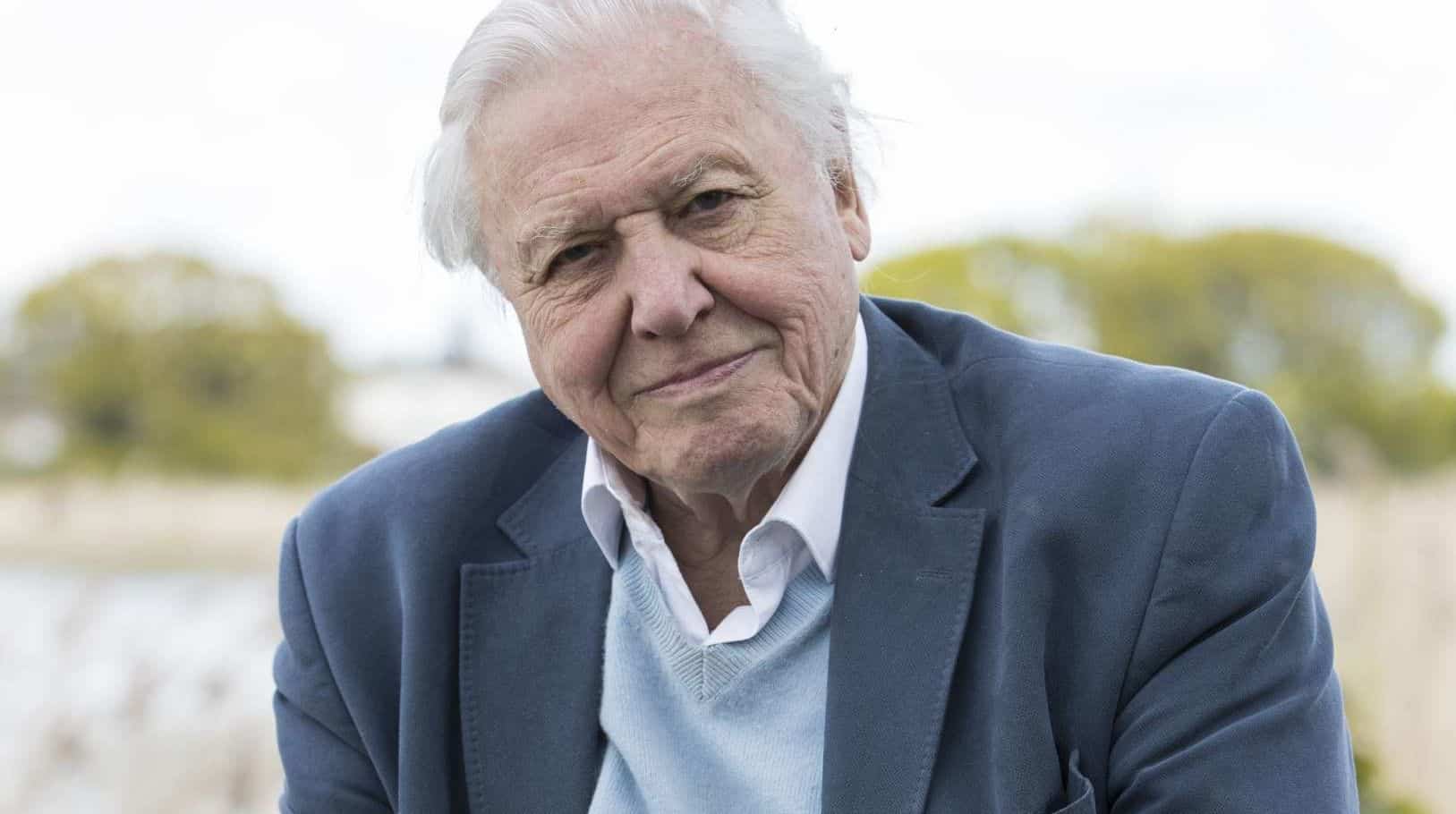 11 hechos asombrosos sobre Sir David Attenborough