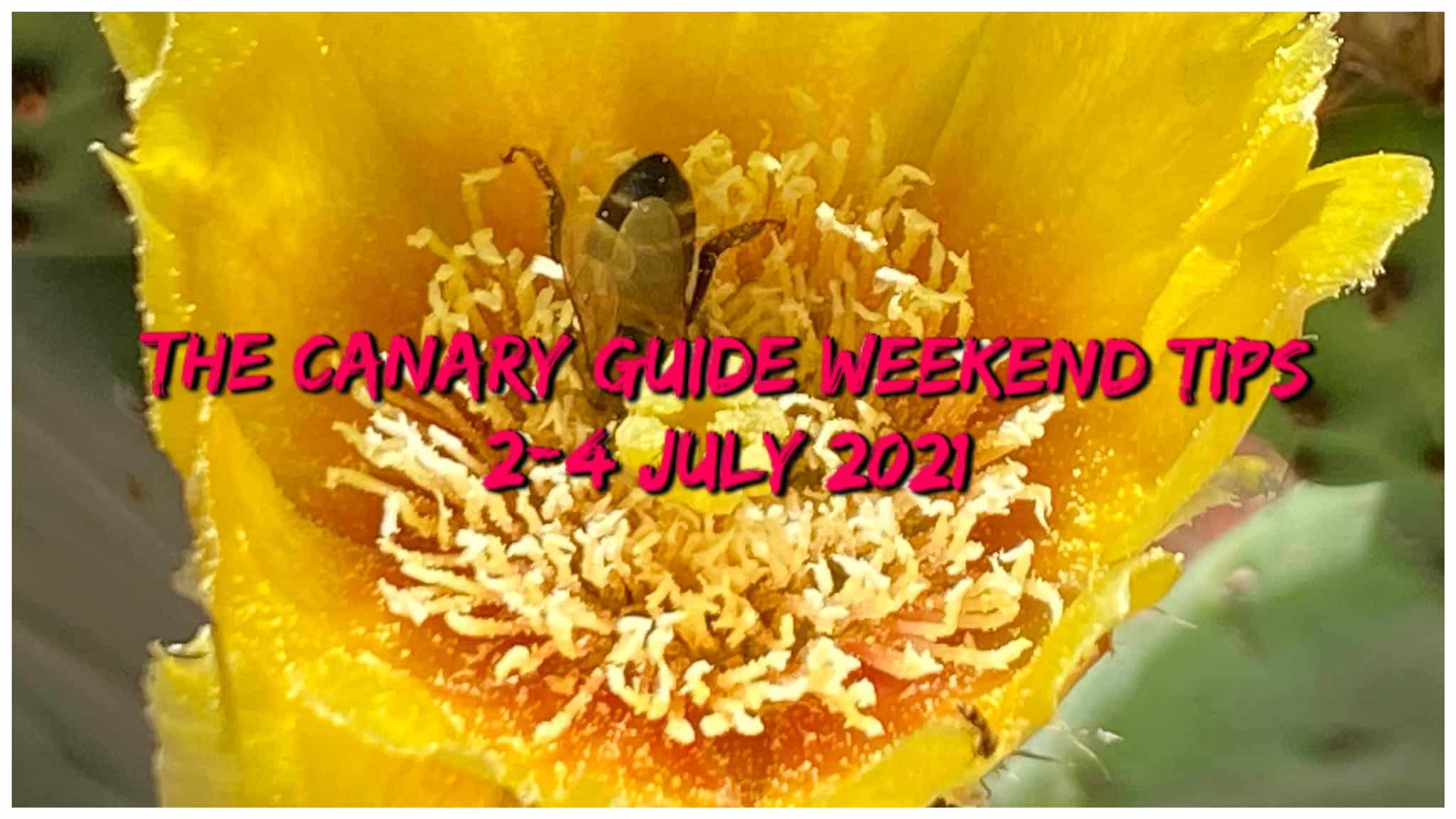 The Canary Guide Weekend Tips 2-4 July 2021