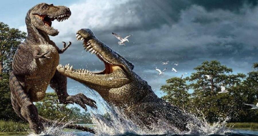 Purussaurus el depredador prehistorico mas fuerte que