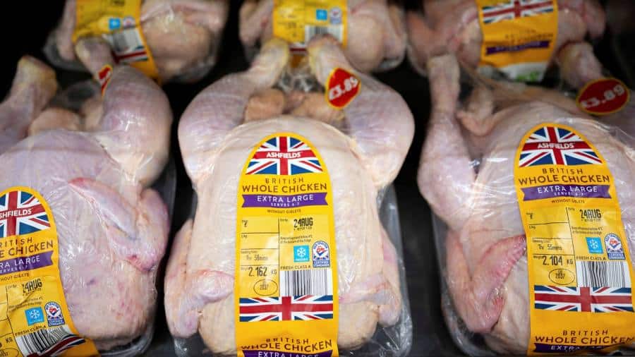 Los productores avicolas britanicos toman medidas inmediatas a medida que