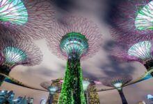 A Facade of Progress: Singapore’s Response to Climate Change