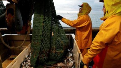 La UE mantiene conversaciones finales para resolver la disputa pesquera