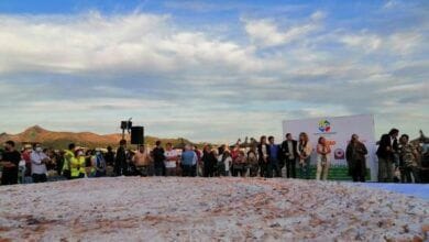 La "ensaimada solidaria más grande del mundo" en Alcudia, Mallorca