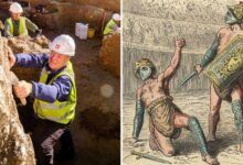 Las excavaciones del anfiteatro en Inglaterra revelan celulas de gladiadores