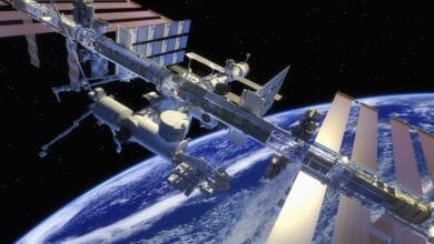 Los astronautas cultivaron estos chiles en la estacion espacial