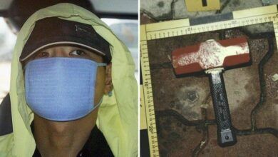 Yoo Young chul el mortal asesino de impermeables de Corea del