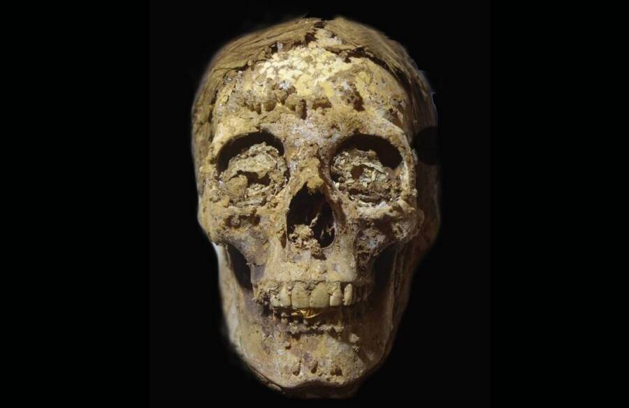 Un cráneo de momia en la tumba de Oxilinkus