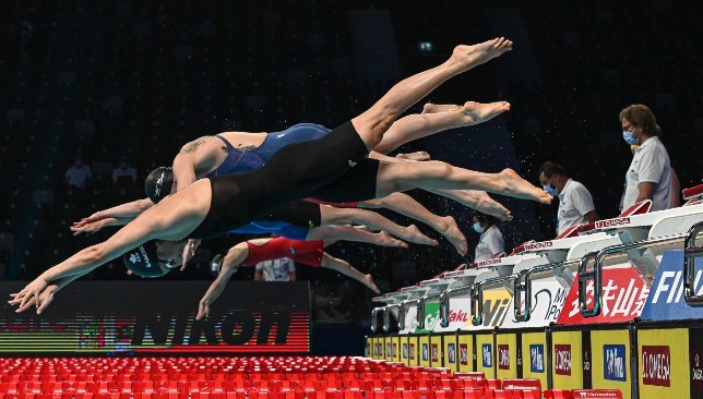 FINA 3
