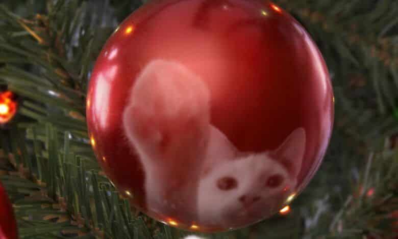 Como mantener a las mascotas alejadas del arbol de Navidad