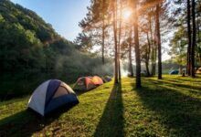Según las últimas estadísticas, Málaga es el camping más popular de Andalucía