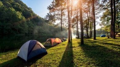 Según las últimas estadísticas, Málaga es el camping más popular de Andalucía