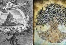 1641490652 Yggdrasil el arbol sagrado de la vida en la mitologia