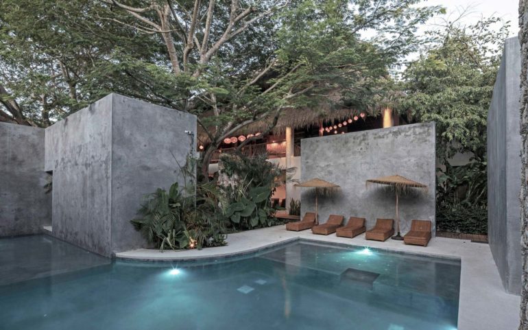 Casa de hormigas
