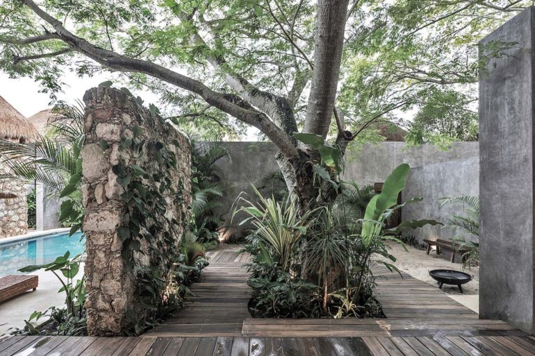 Casa de hormigas