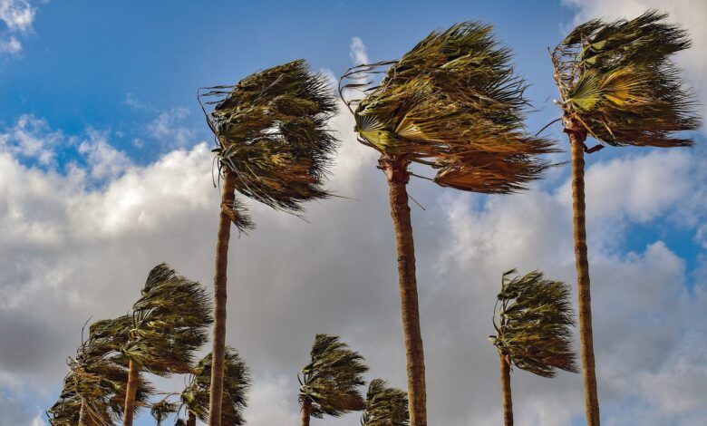 Advertencia meteorológica: fuertes vientos y olas de 3 metros de altura azotarán la costa de Andalucía, España