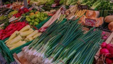 CUÍDATE: Consejos para un estilo de vida más saludable después de la Navidad en España 1 CUIDATE Consejos para un estilo de vida mas saludable despues