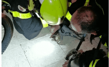 Después de los incendios en Cádiz, España, la vida alternativa del gato como bombero lo hace boca a boca. 4 Después de los incendios en Cádiz, España, la vida alternativa del gato como bombero lo hace boca a boca.
