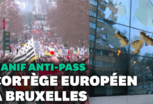 Enfrentamientos durante las manifestaciones anti pase de Europa en Bruselas