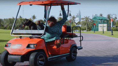 Este orangutan realmente conduce un carrito de golf