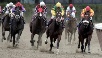 Una peligrosa expedición a la carnicería de carreras de caballos. 3 horse racing