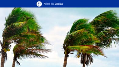 Canary Islands Issue Alert for Strong Winds from Sunday 00:00