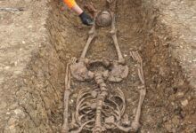 Antiguos esqueletos decapitados descubiertos en el sureste de Inglaterra