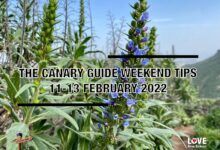La Guía de Canarias #WeekendTips 11-13 febrero 2022 : Canarias