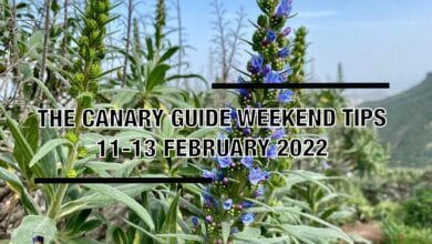La Guía de Canarias #WeekendTips 11-13 febrero 2022 : Canarias