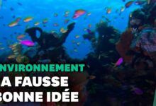 La proteccion de la Gran Barrera de Coral de Australia