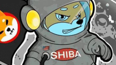 Los seguidores de Shiba Inu quieren incluir SHIB en los consejos de Twitter