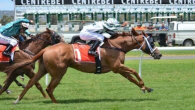 ¿Cuál es la carrera de caballos más importante de España? 17 ¿Cual es la carrera de caballos mas importante de Espana