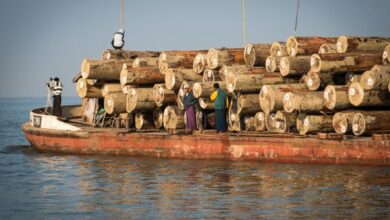 Myanmar Timber Exports Continue, Despite Western Sanctions: Report