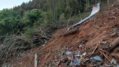 Avión de pasajeros Boeing de China se estrella en montañas, 132 personas a bordo no tienen señal