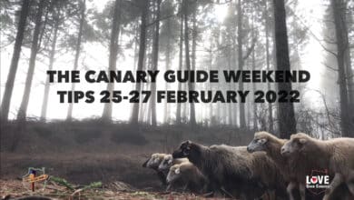 The Canary Guide #WeekendTips 25-27 February 2022