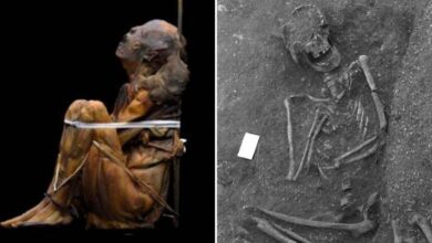 Momia encontrada en Portugal puede ser la momia mas antigua