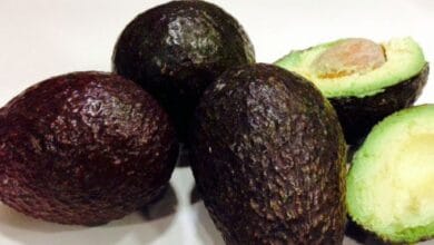 ¿Tostada de aguacate? Si.Un estudio encuentra un vínculo entre los aguacates y la salud del corazón 2 Una nueva investigación muestra que comer aguacates dos o más veces a la semana está asociado con un riesgo 16 % menor de enfermedad cardiovascular y un riesgo 21 % menor de enfermedad coronaria.