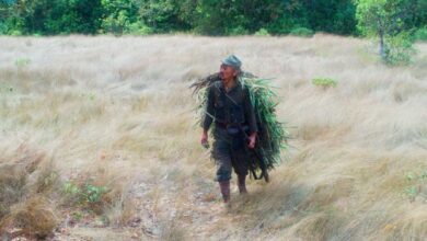 Onoda: El hombre que lleva 30 años escondido en la jungla
