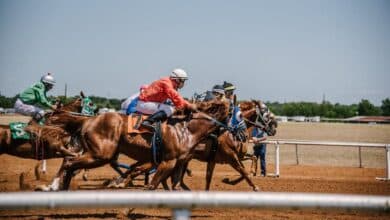 caballo