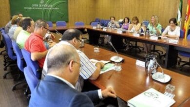 gobierno militar