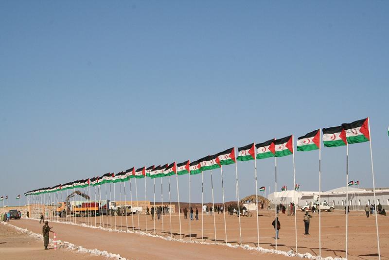 Fila de la bandera del Polisario