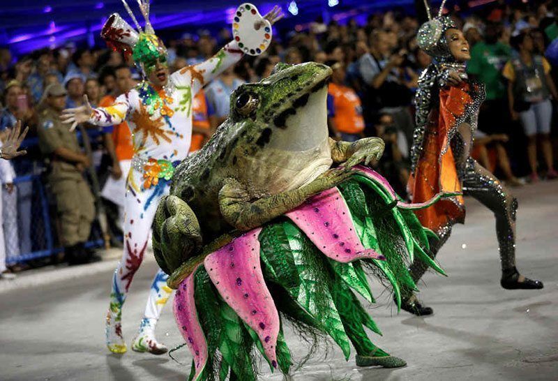Carnaval 2015 en Brasil