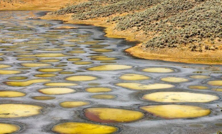 Spotted Lake Colorful