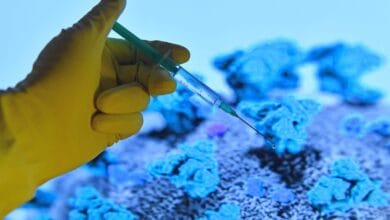 España aprueba vacunas contra la viruela del simio y refuerzos contra el Covid-19 para personas mayores y vulnerables 10 Espana aprueba vacunas contra la viruela del simio y refuerzos