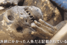 La inquietante momia 'sirena' en Japón es probablemente una horripilante mezcla de mono y pez