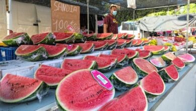 Por que nunca deberias comprar frutas y verduras precortadas en