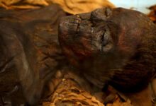 ¿Por qué la gente empezó a comer momias egipcias?