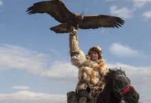 Festival del Águila Dorada de Mongolia: 20 fotos impresionantes
