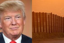 Esto es lo que realmente costará a los contribuyentes estadounidenses la "Gran Muralla" de Donald Trump
