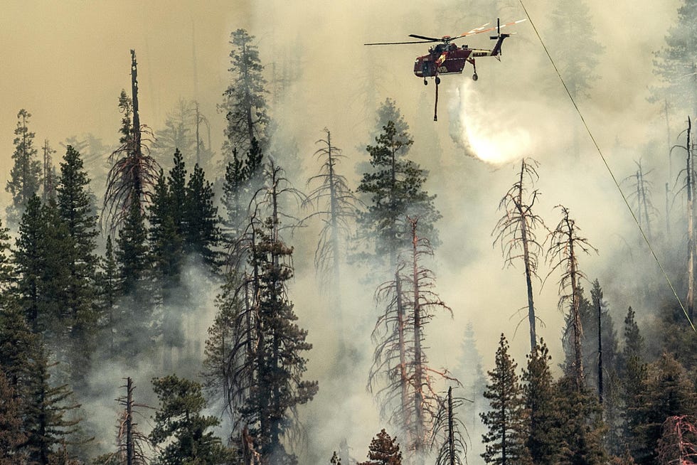 Un helicóptero arroja agua sobre el incendio Washburn Fire en el Parque Nacional Yosemite el sábado.