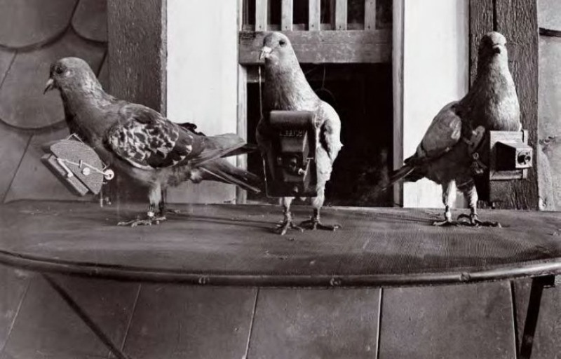 Fotógrafos de palomas del Dr. Neubronner 7 Trío de fotógrafos de palomas